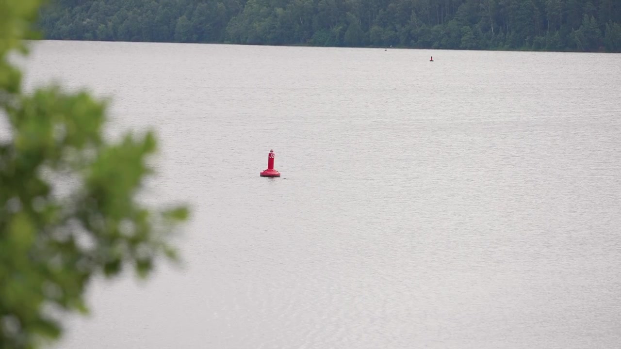 Wide angle shot of a calm river with a red buoy centered on the water, bordered by green foliage and a dense forest in the distance under soft, natural daylight.