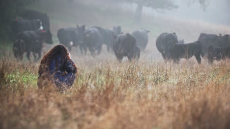 Woman-Photographing-Cattle-Herd-on-California-Cattle-Ranch-During-Morning-Fog