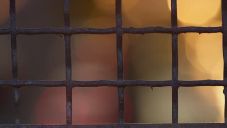 old fence mesh netting close up. dark rusty squared protection construction.