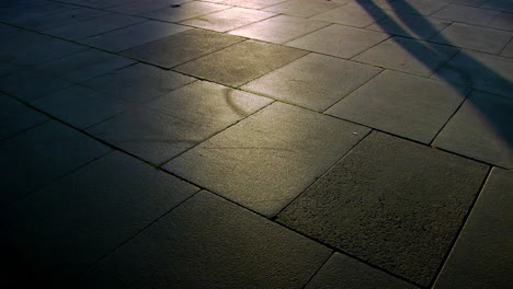 long shadow of a person skateboarding passing by cast on a tiled street at sunset, evoking solitude and introspection