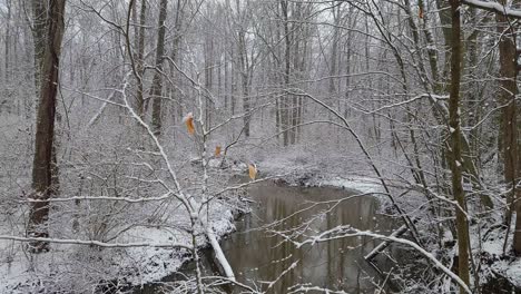 Ein-Handvideo-Von-Einem-Kleinen-Bach-Im-Wald-Und-Alles-Ist-Mit-Dickem,-Schwerem,-Nassem-Schnee-Bedeckt