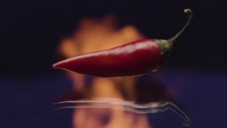 red chili pepper on dark background