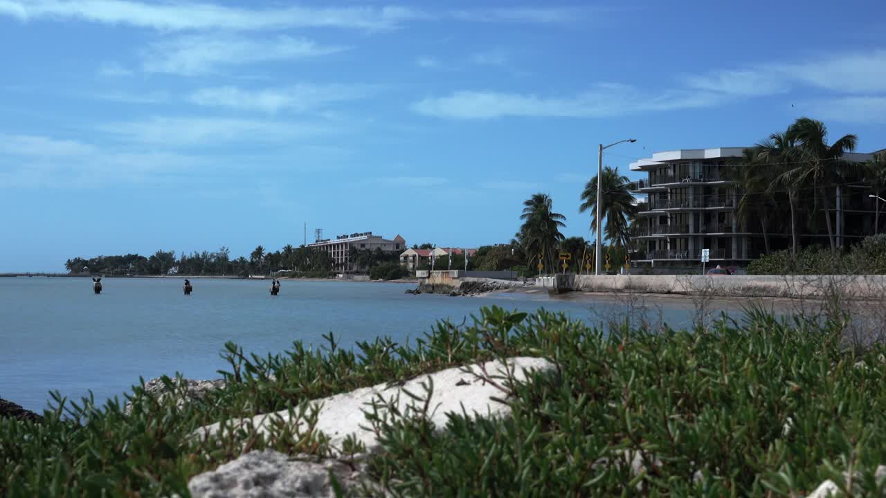Key West South Roosevelt Boulevard