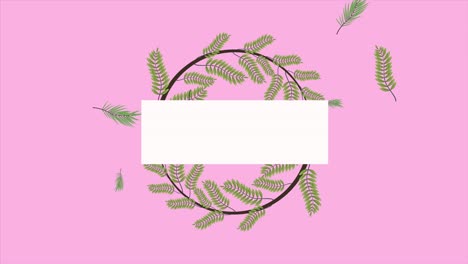 tropical exotics leafs ecology animation wreath in pink background