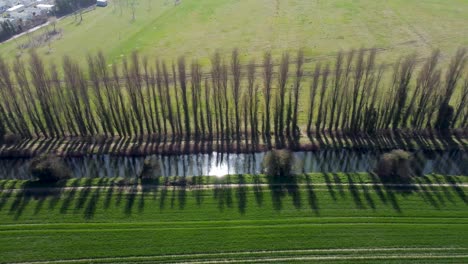 volando de lado a lo largo de la orilla de un pequeño río, el sol brilla y se refleja en el agua