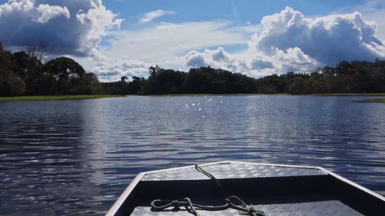 pov speedboat navigating through flooded Amazon rainforest. Juma river, Amazonas, Brazil