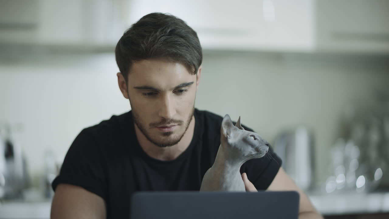 Handsome man working on laptop computer with sphynx cat