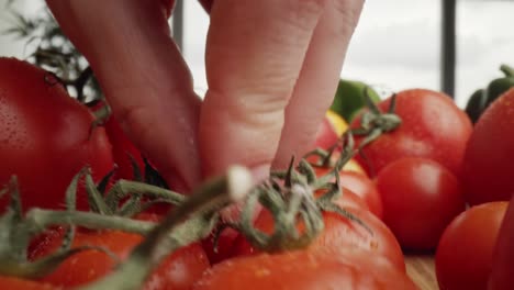 Zoom-out-macro-video-of-bunch-of-tomatoes-on-the-table