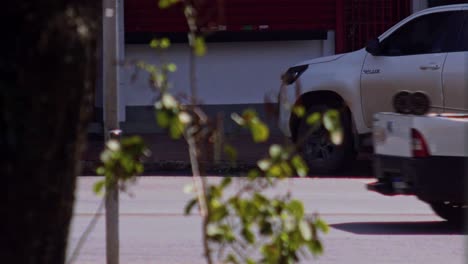 city foliage growth, vehicle parking, road traffic, slow motion scene