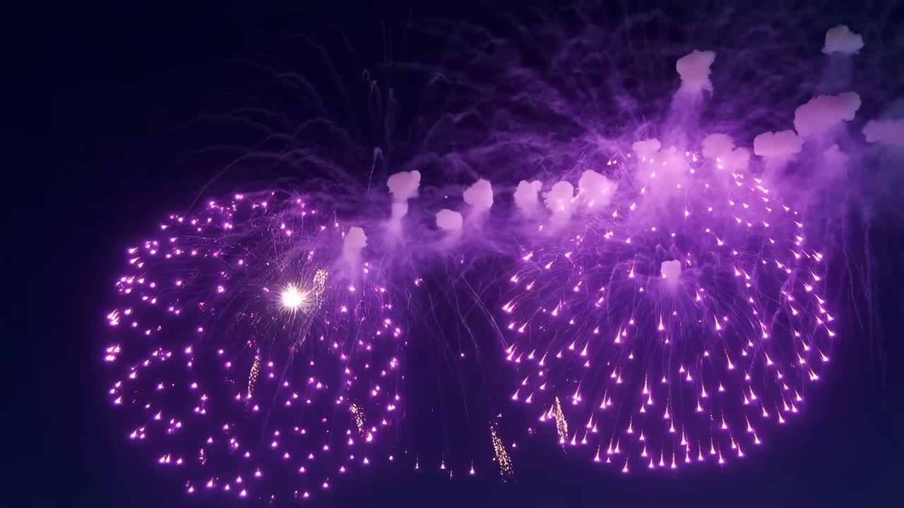 Vibrant Purple Fireworks Display at Night