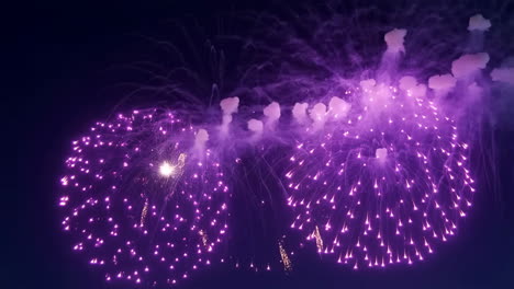 vibrant purple fireworks display at night