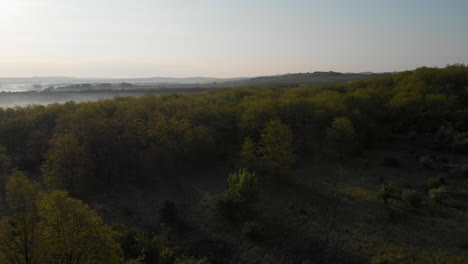 Panoramic-Bird's-Eye-View-Of-An-Incredible-Forest-Landscape---Morning-Fog