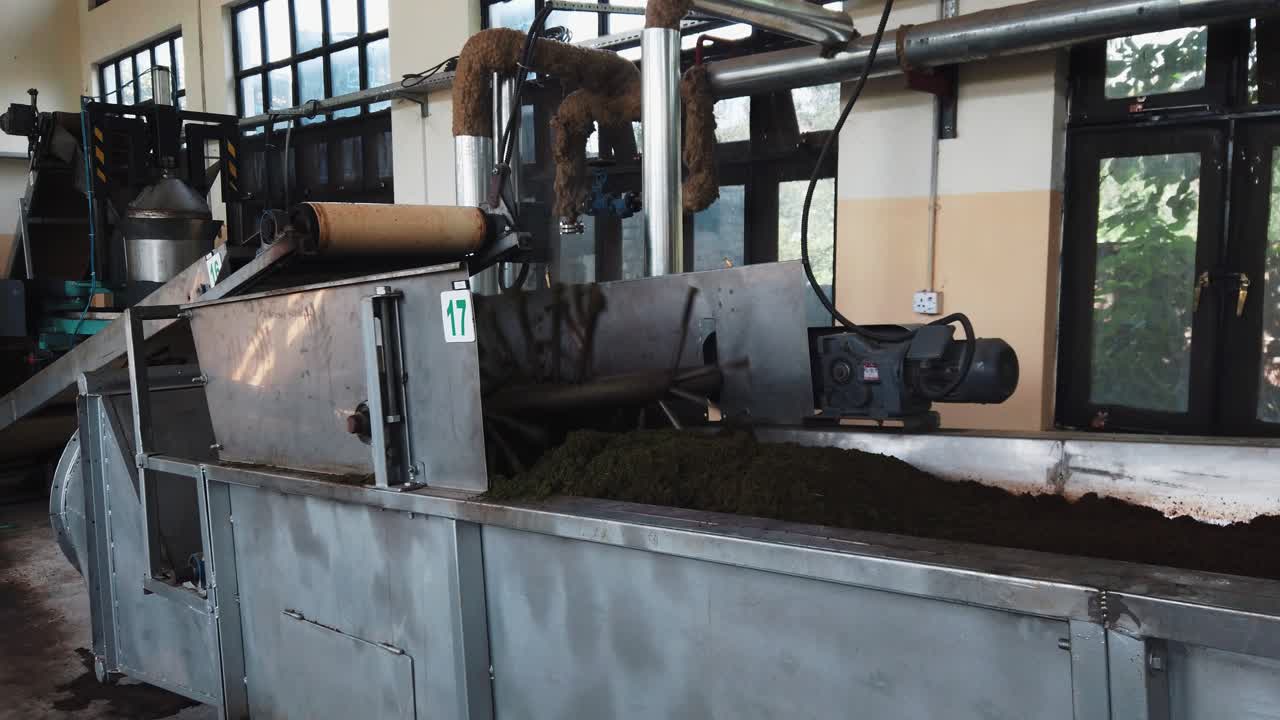 Tea Garden Shinkiari (Tea Processing Machine) #2, Machine grinding tea leaves.