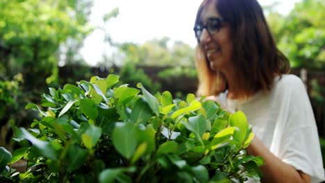 mujer madura plantando en el jardín 4k