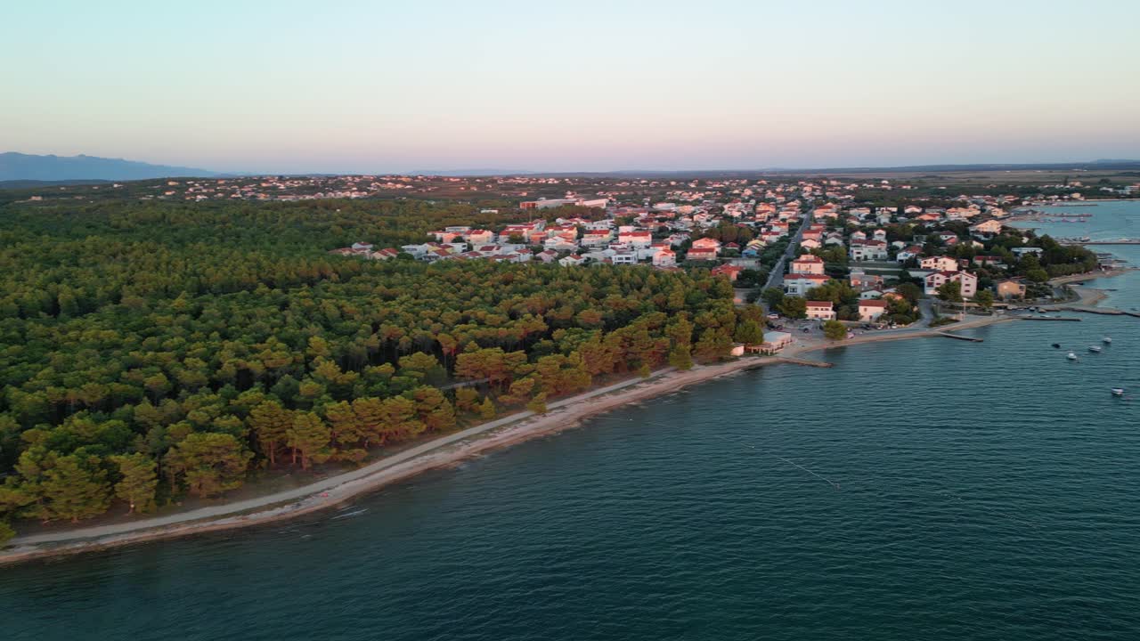 vista aérea sobre el bosque de pinos prístino y el pueblo de vrsi mulo, en la región de zadar, croacia, en la luz de la tarde de verano