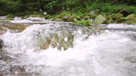 Zeitlupenaufnahmen-Von-Bächen,-Kleinen-Flüssen-Und-Fließendem-Wasser