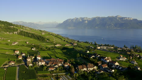 savuit village in lavaux vineyard, with lake leman and alps mountains in the background at sunset in switzerland - aerial shot