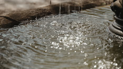 Wasser-Tropft-Im-Garten