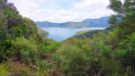 una vista de la entrada de esfuerzo de la pista de la reina charlotte en la isla sur de nueva zelanda