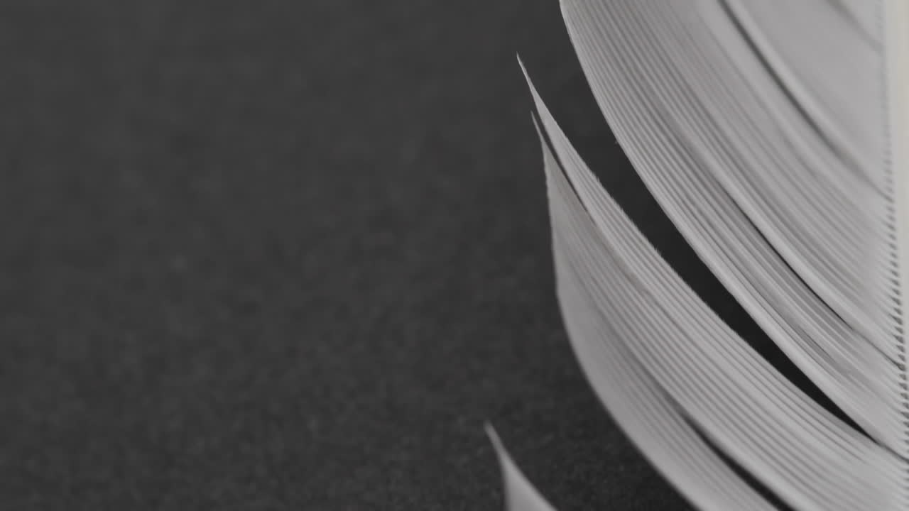 micro vídeo de primer plano de una pluma con espacio de copia sobre fondo negro