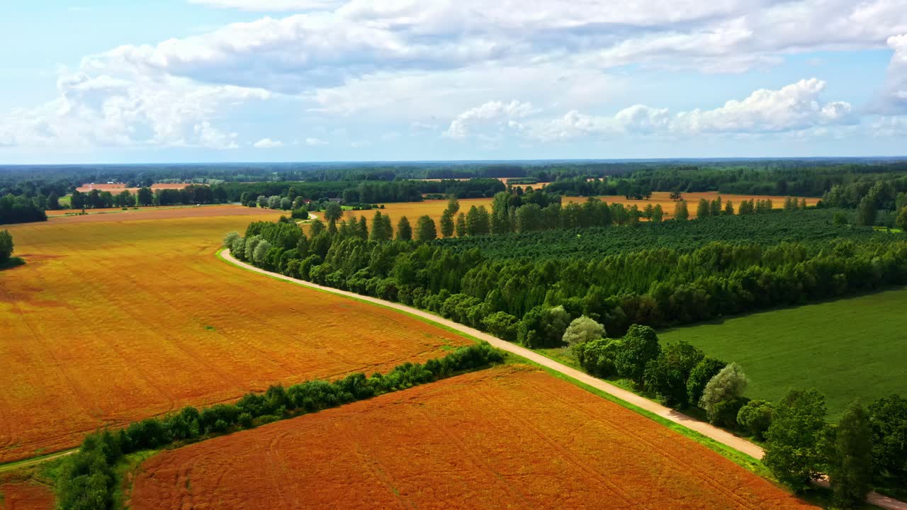 Patchwork of colorful farmland and tree belts in summer landscape from above