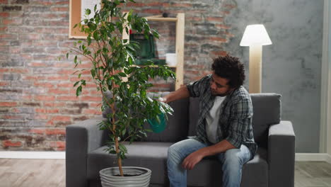 young black man waters lush potted ficus tree at home