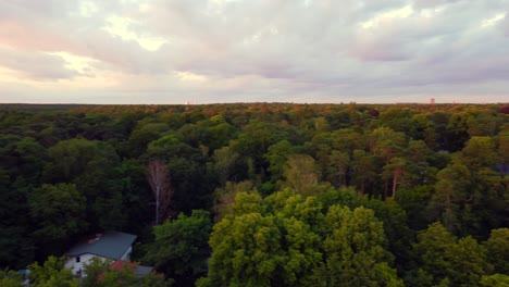 large white villa in the forest by the lake