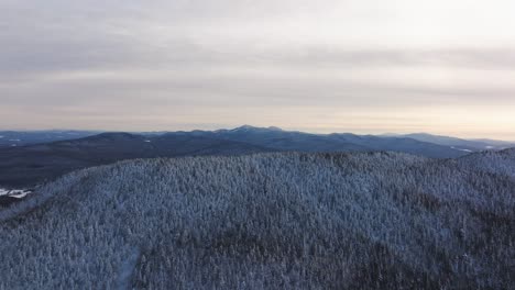 Fliegen-Sie-über-Dichtes-Dickicht-In-Weiß-Gefrosteten-Waldbergen-Im-Osten-Von-Quebec,-Kanada