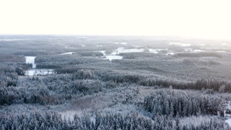 Aerial,-rising,-drone-shot,-overlooking-frosty-and-snow-covered-forest,-wintry-woods,-on-a-overcast,-winter-evening,-in-Finland