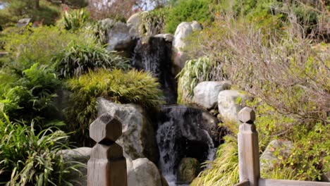 pequeña cascada que fluye a través de un jardín botánico en un día soleado