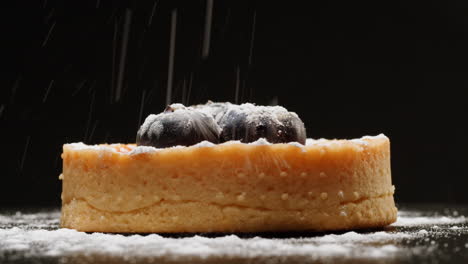 blueberry tart with powdered sugar