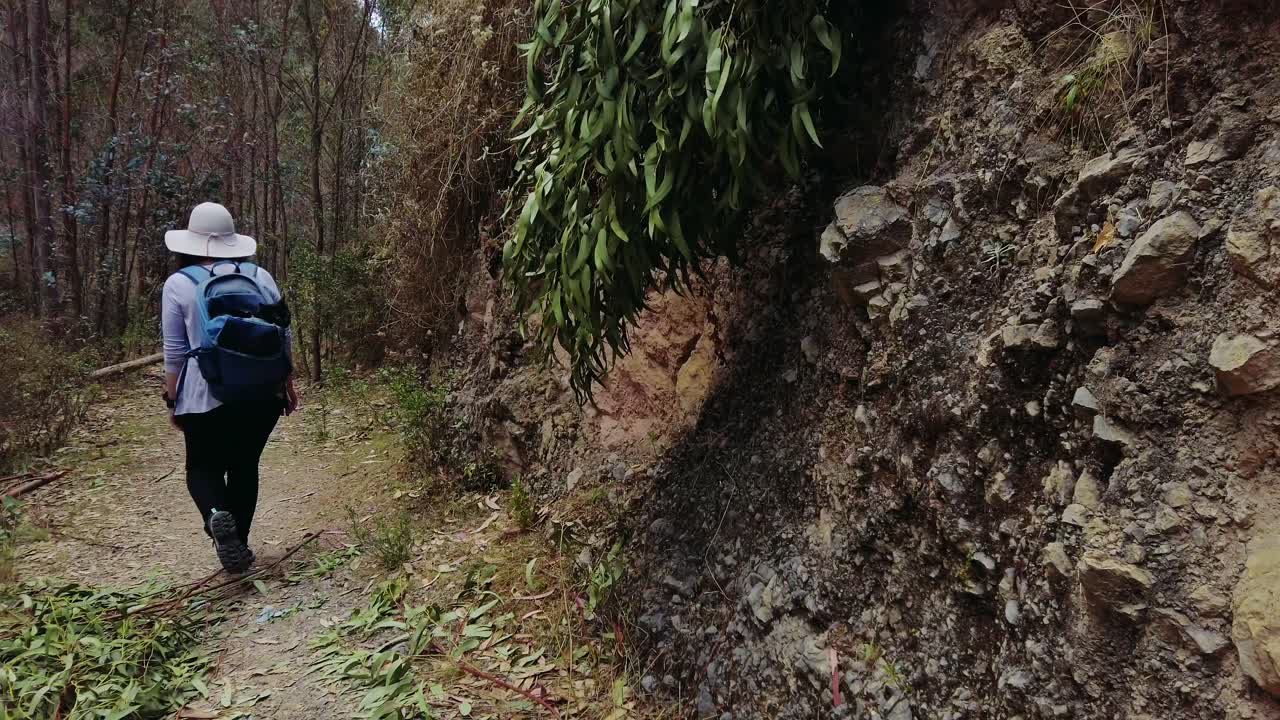 Woman with backpack and a traditional peruvian hat walks along a forested trail in the Cusco highlands, Peru.