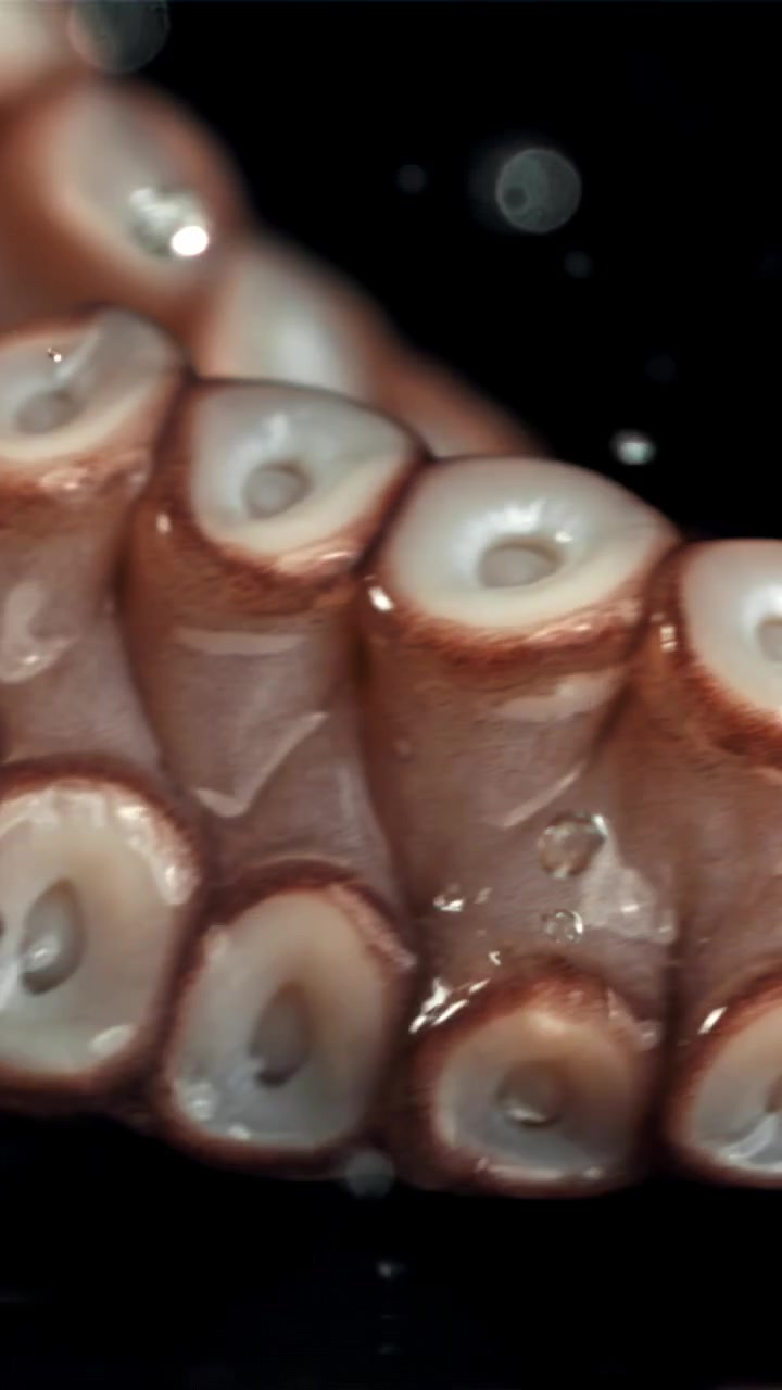 Close-up of Fresh Octopus Tentacle with Water Droplets
