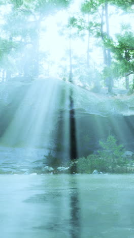 enchanted forest with sun rays breaking through fog