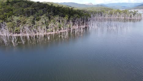 Flying-over-water-towards-dead-trees-on-the-banks-of-a-lake