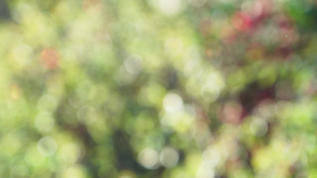 fondo de color abstracto con movimiento bokeh