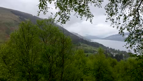 Filmische-Drohnenaufnahme,-Die-An-Einem-Baum-Vorbeigeht,-Mit-Einem-Malerischen-Dorf-Im-Hintergrund