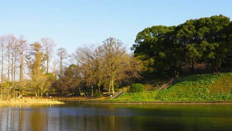 The-beautiful-park-in-Osaka