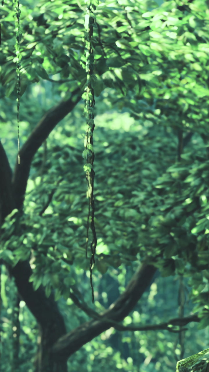Lush greenery fills the tranquil forest as sunlight filters through the leaves
