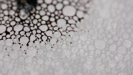 black-liquid-moving-through-bubbles-like-an-alien-organism