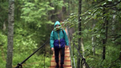 rainy forest suspension bridge