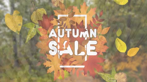 autumn maple falling over autumn sale text banner against 3d concentric shapes