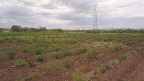 Blick-Von-Einer-Drohne,-Die-An-Einem-Bewölkten-Tag-über-Eine-Plantage-In-Mexiko-Fliegt