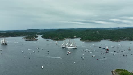 a tall ship sails among numerous smaller boats in a bustling harbor. the landscape features lush green hills under an overcast sky, creating a serene maritime atmosphere