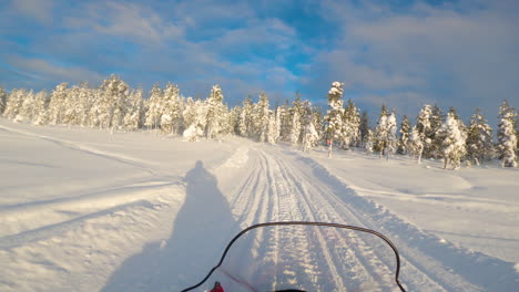 snowmobile pov driving through norbotten snowy winter pine forest at sunrise