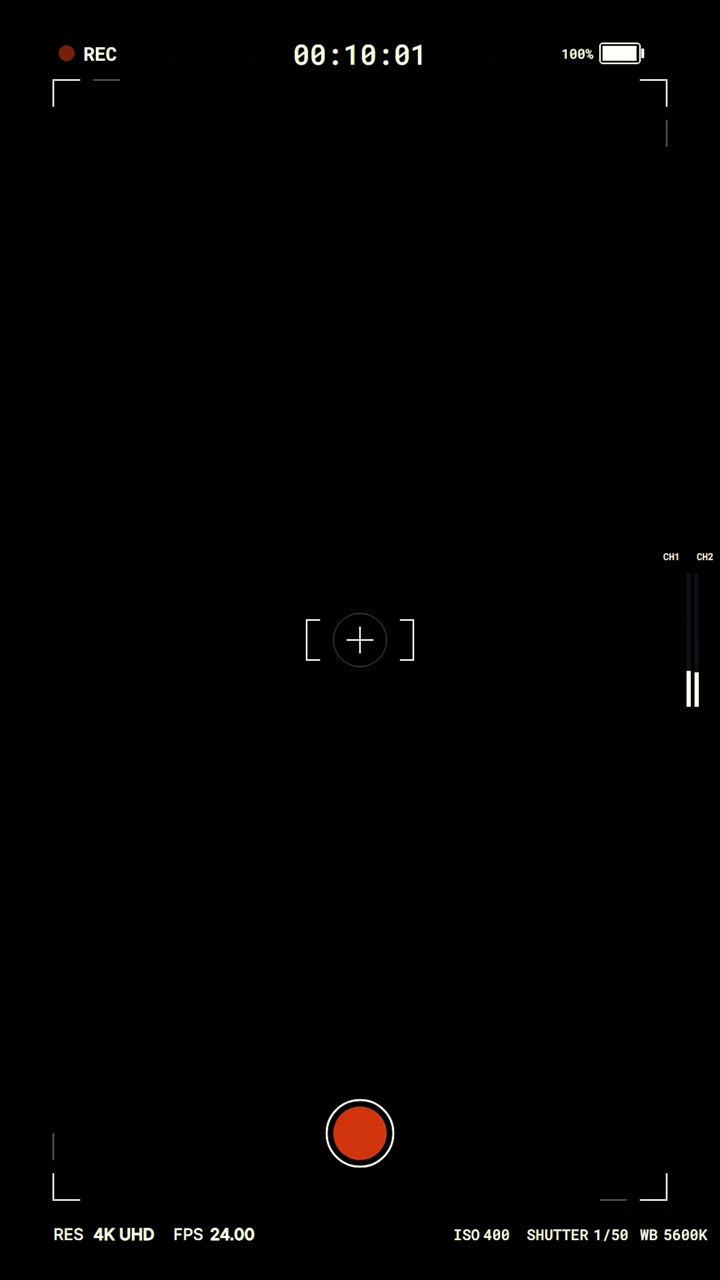 Digital Camera Recording Interface Overlay