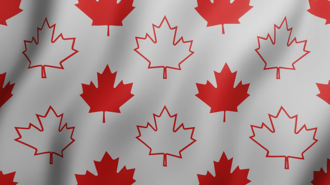 hojas de arce rojo canadiense sobre un fondo blanco. movimiento gráfico de bucle sin costuras geométrico ondulante