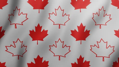 canadian red maple leaves on a white background. waving geometric seamless loop motion graphic