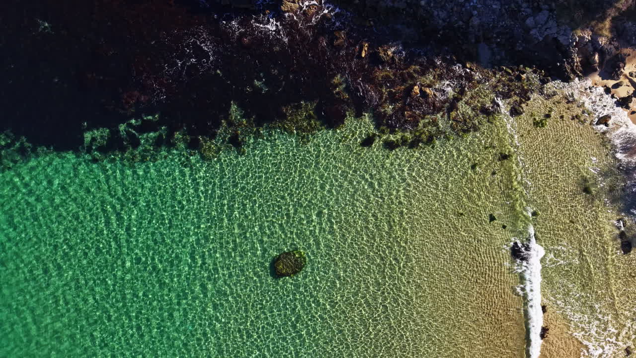 Le acque cristalline rivelano tesori nascosti lungo una spiaggia serena nella luce del mattino di una tranquilla località marittima