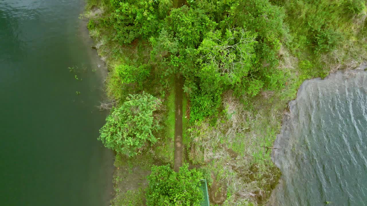 Top-Down Drone Shot of Runner on National Park Trail